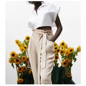 Zara paper bag pants